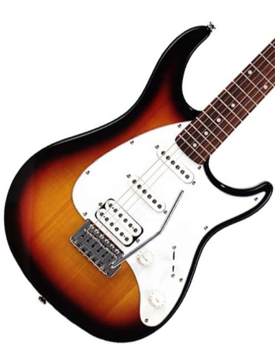 PEAVEY Raptor Plus Sunburst фото 2